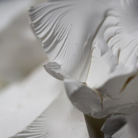 Dried Paint Illusions