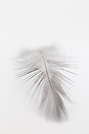 Light as a Feather
