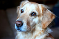 Zoe