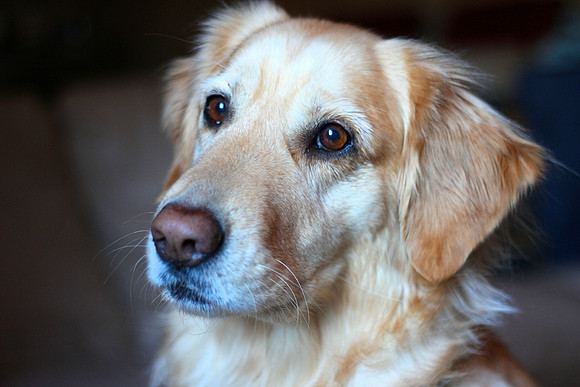 Zoe