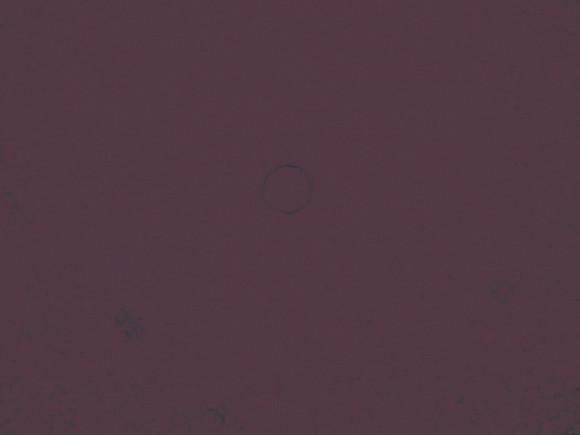 MC-1398